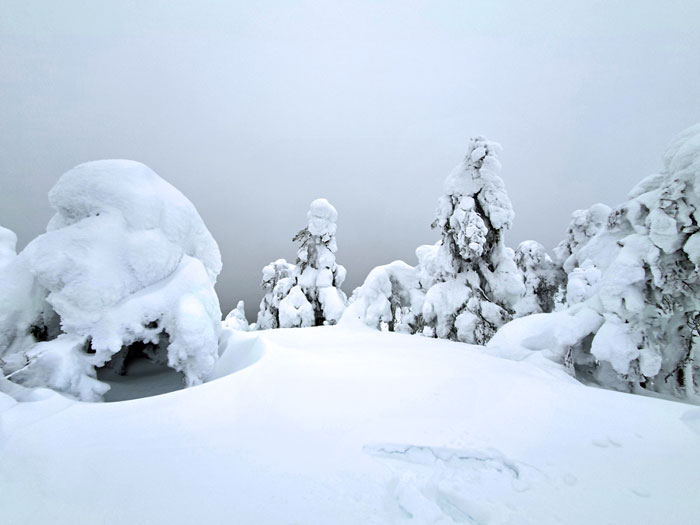 Lappland, Photo: Michael Sandner