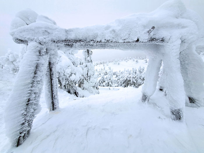 Lappland, Photo: Michael Sandner